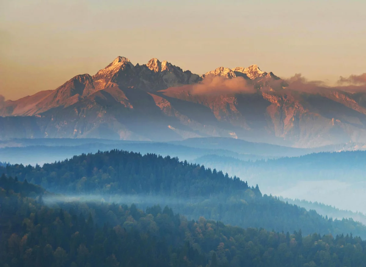 Nawet Nie Myśl Aby Oddać elektrośmiecie w Gdańsku Zanim Nie Poznasz Tych 4 Sposobów.