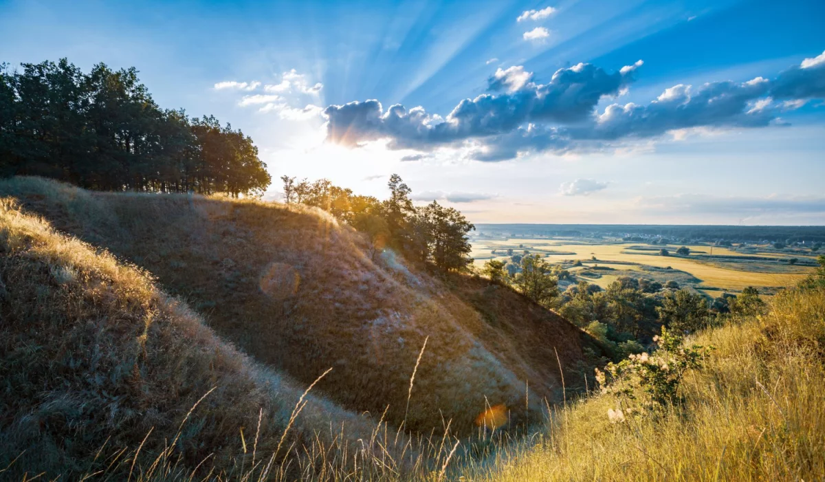 Zwykły Chłopak Chciał Oddać elektrośmiecie w Katowicach. Przypadkowo Odkrył 1 Dziwny Sposób, Przez Który Sprzedawcy Go Nienawidzą.