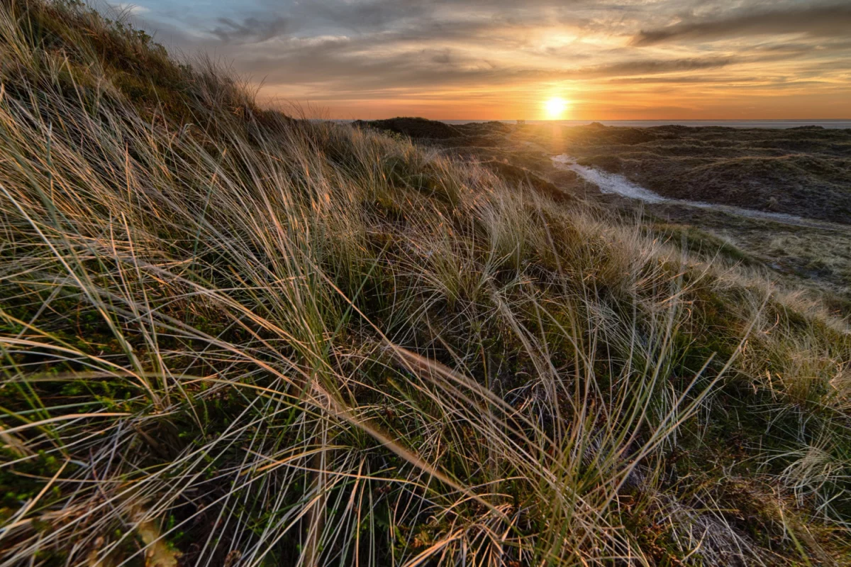 Ciekawe infromacje o tym jak naprawić ekspres do kawy