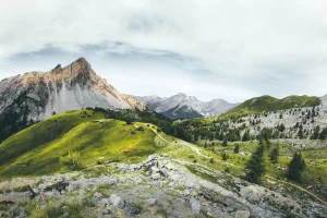 Nie Czytaj Tego Jeśli NIE Chcesz oddać elektrośmieci